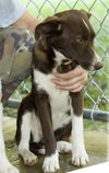 Cassi/Layla DOPTED!!