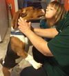 Miles/ADOPTED!
