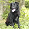 Spooky-ADOPTED!!