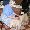 Ross-ADOPTED!!