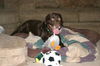 BRODY-ADOPTED!!