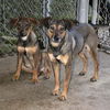 June-ADOPTED!!!