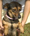 June-ADOPTED!!!