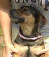 June-ADOPTED!!!
