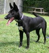 Roxanne Went Home 05!!