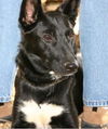 Roxanne Went Home 05!!