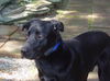 Johnny Doe - Adopted!