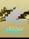 adoptable Cat in  named Nissa