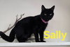 Sally - Photo 1