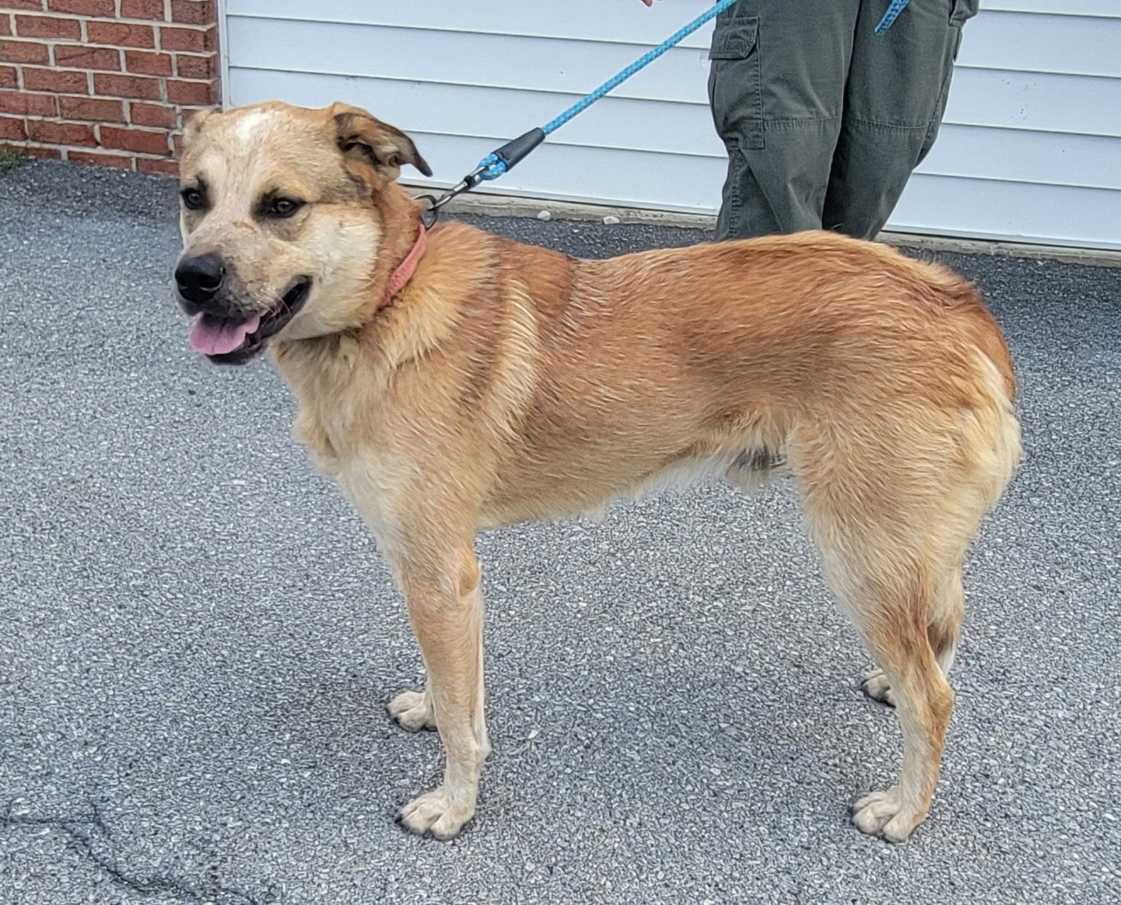 Quigley Image