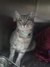Lucky - Photo 2