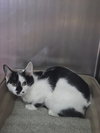 Agatha - Photo 1