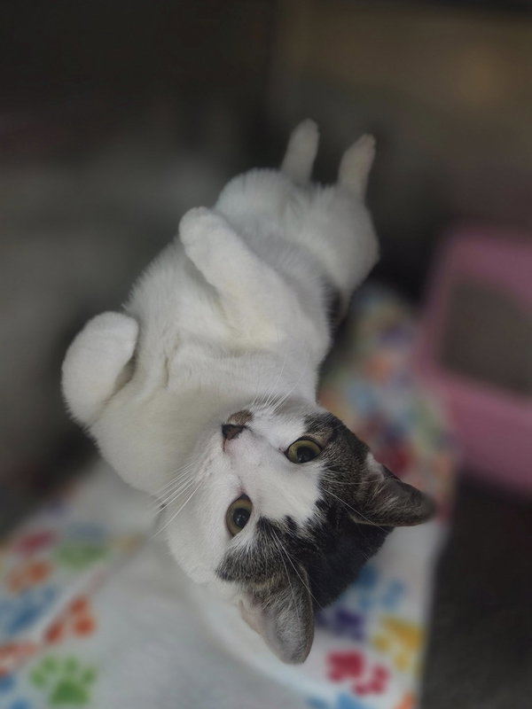 Luna