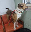 Otis - Photo 2