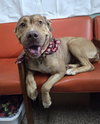 Cleo - Photo 3