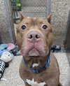 Deuce - Photo 1