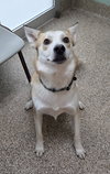 Mr. P. - Photo 1