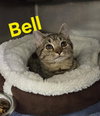 Bell - Photo 1