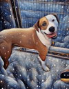 Roscoe - Photo 2