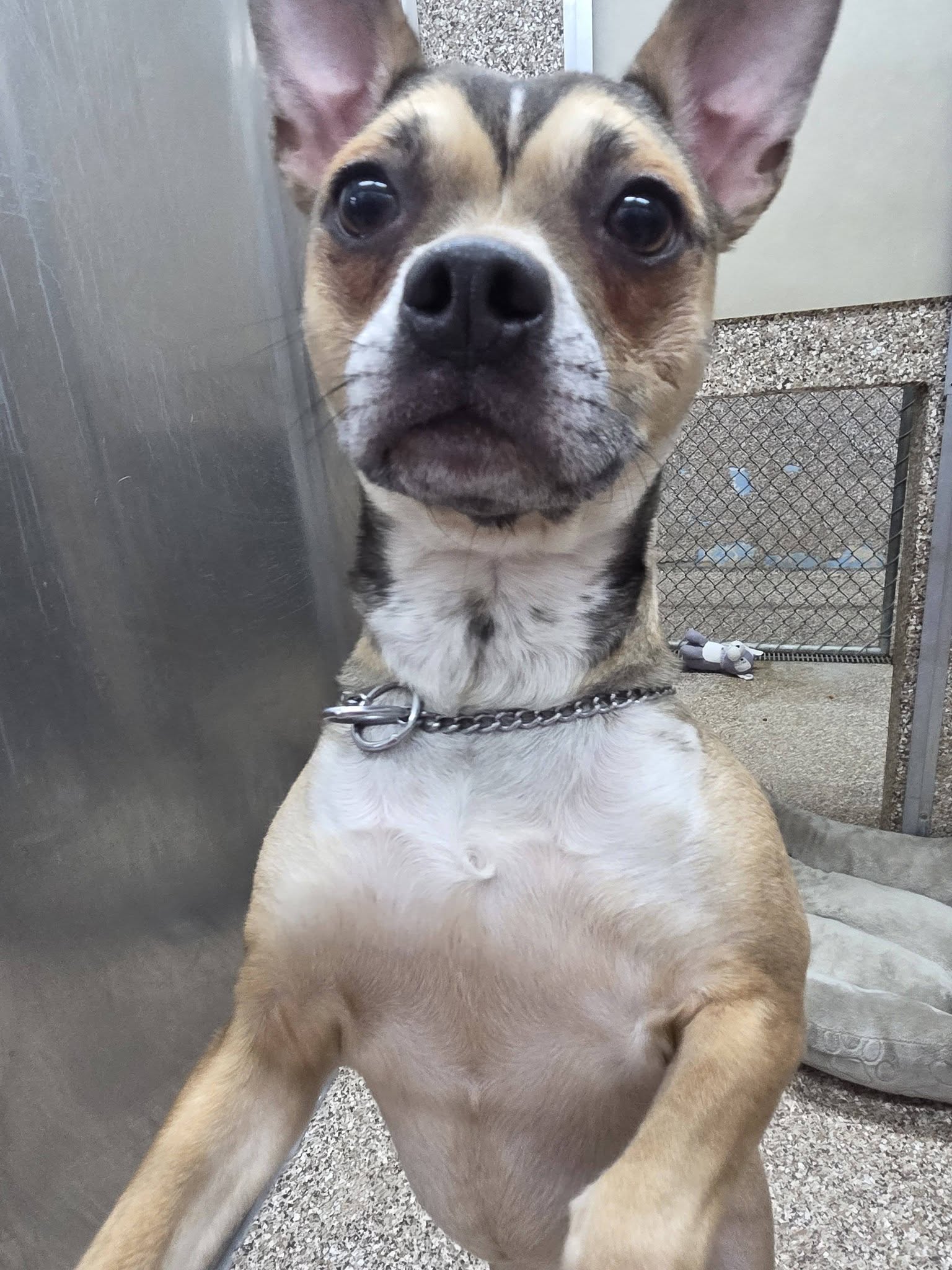 Ellie Mae Image