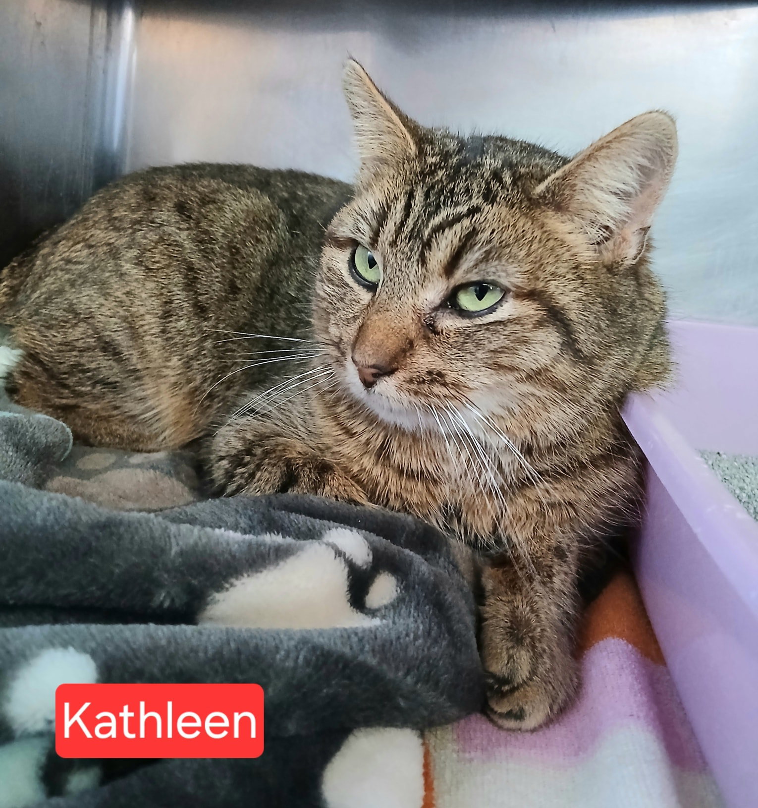 Kathleen Image
