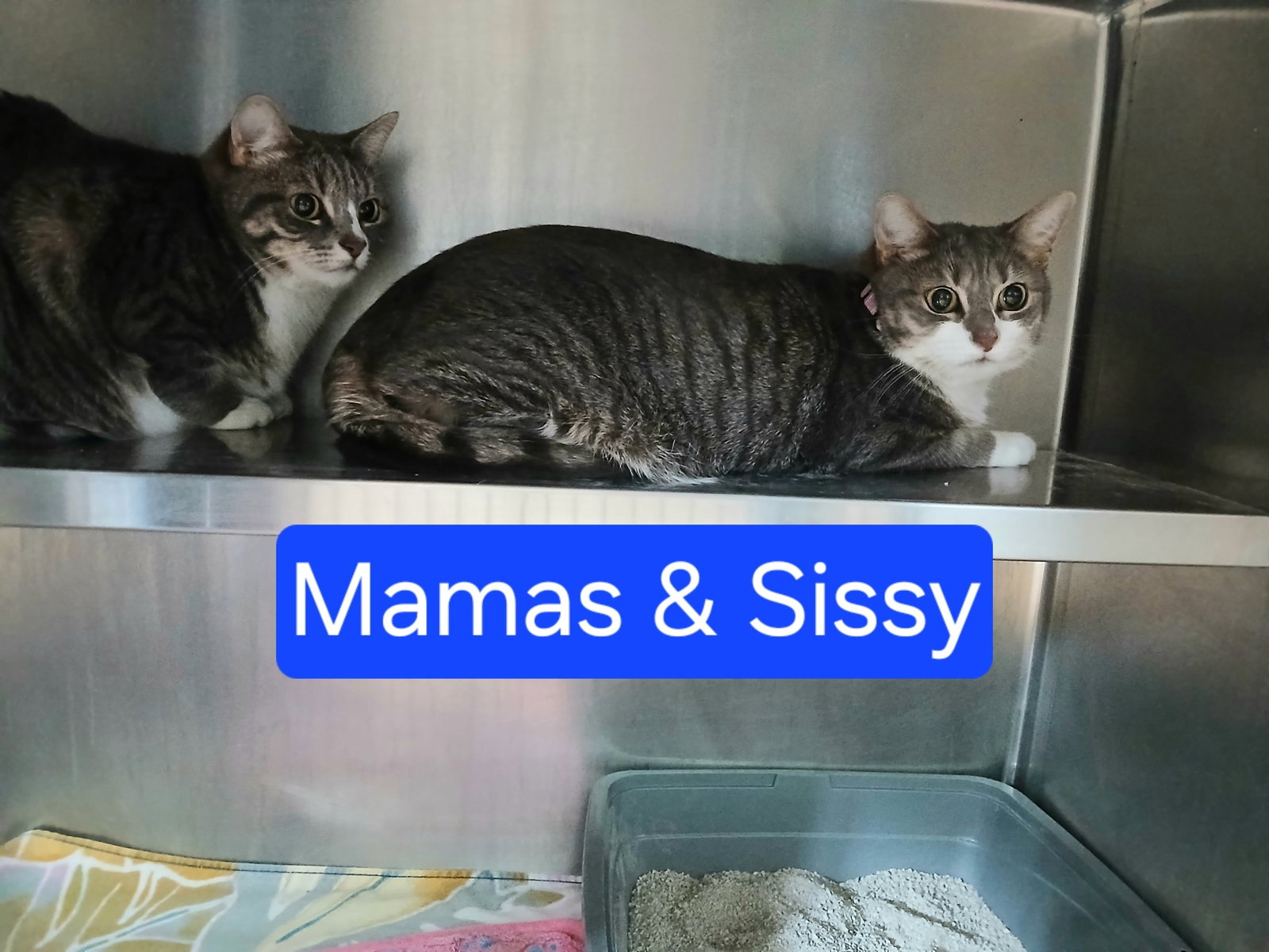 Mama and Sissy Image