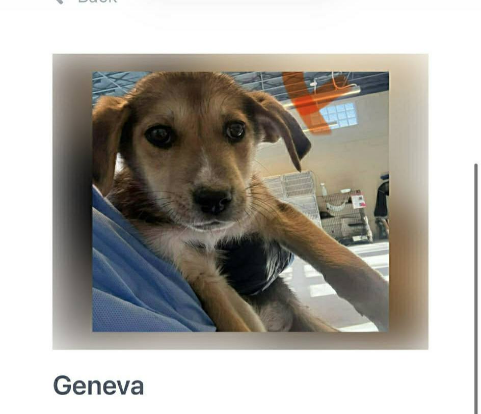 Geneva and Greta