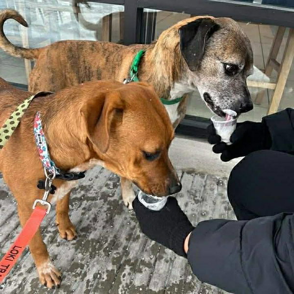 Lucy and Buck