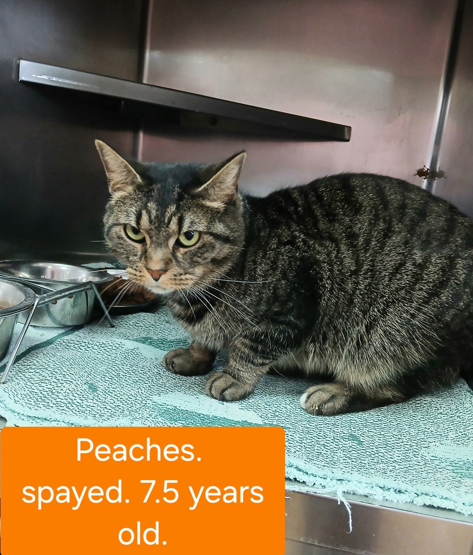 Peaches