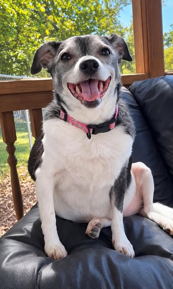 Lucy Mae