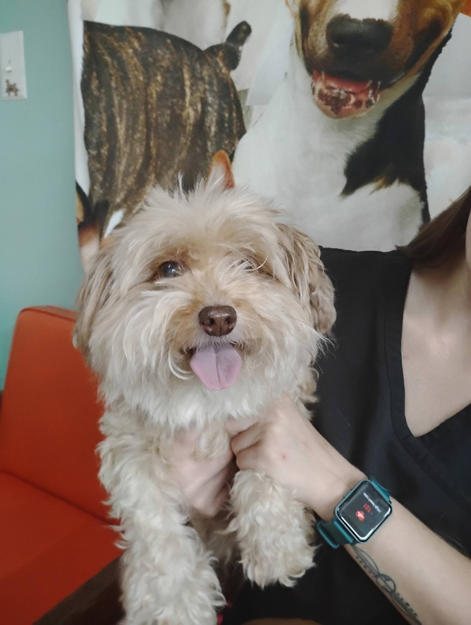 Marty and Niko