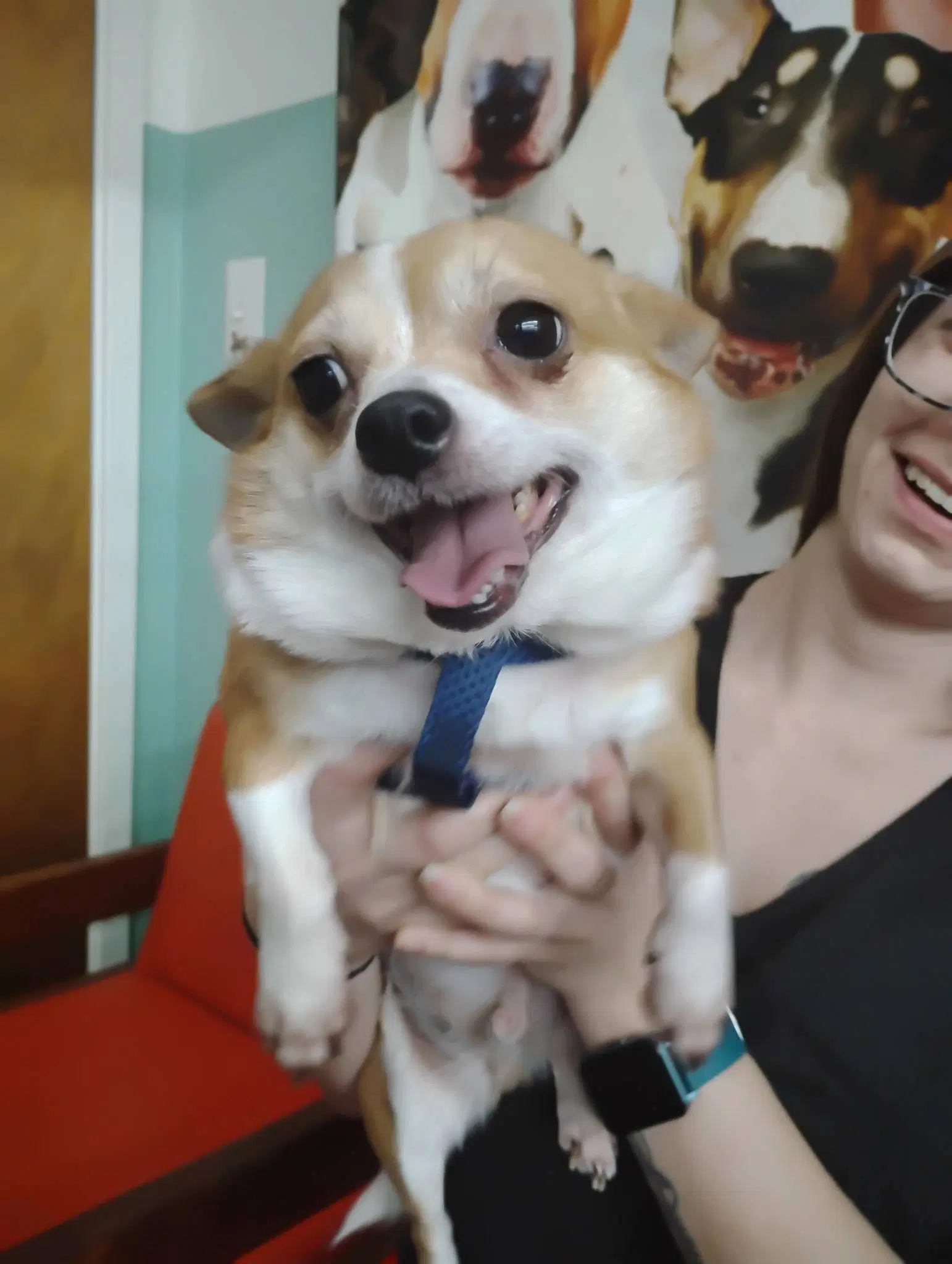 Marty And Niko image 2