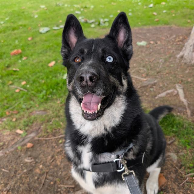 SINATRA