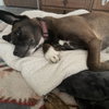 ROXY - Photo 1