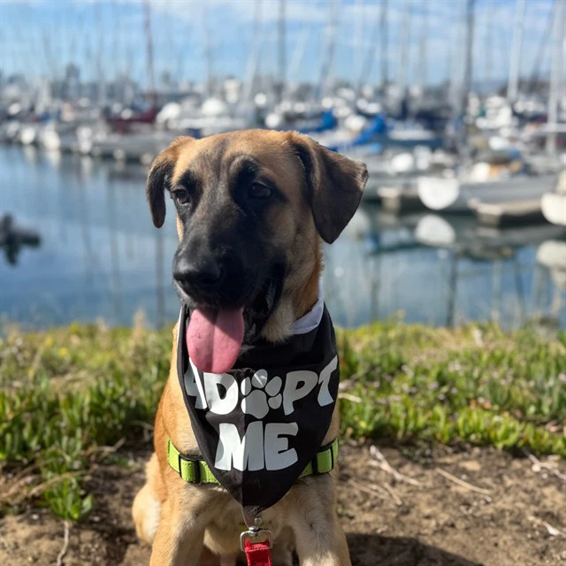 Milo