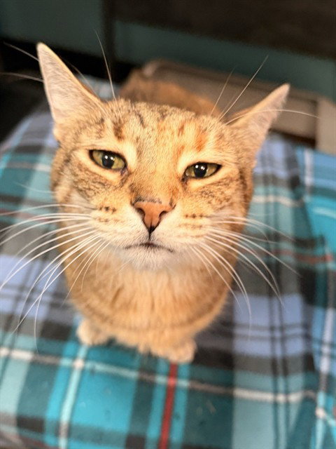 ITTY BITTY