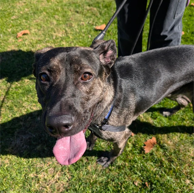 Coco