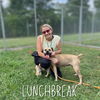 adoptable Dog in , KY named LUNCH BREAK