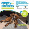 adoptable Dog in  named WINSLOW