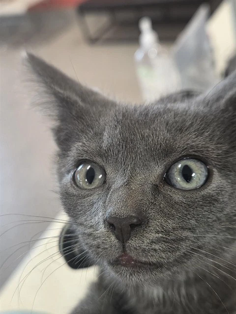 Barnaby