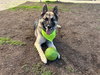 RICO - Photo 1