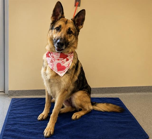 GRETCHEN