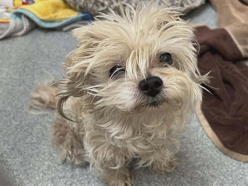 FINNEGAN