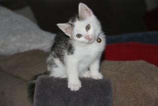 Murphy