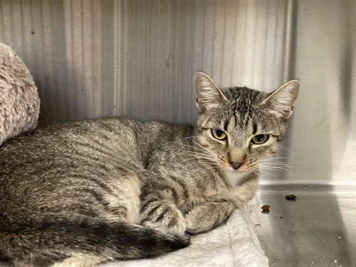 Ms. Patricia