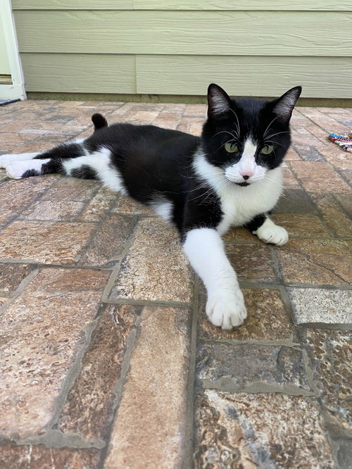 Taz **Complimentary Posting**