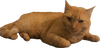 Cheeto