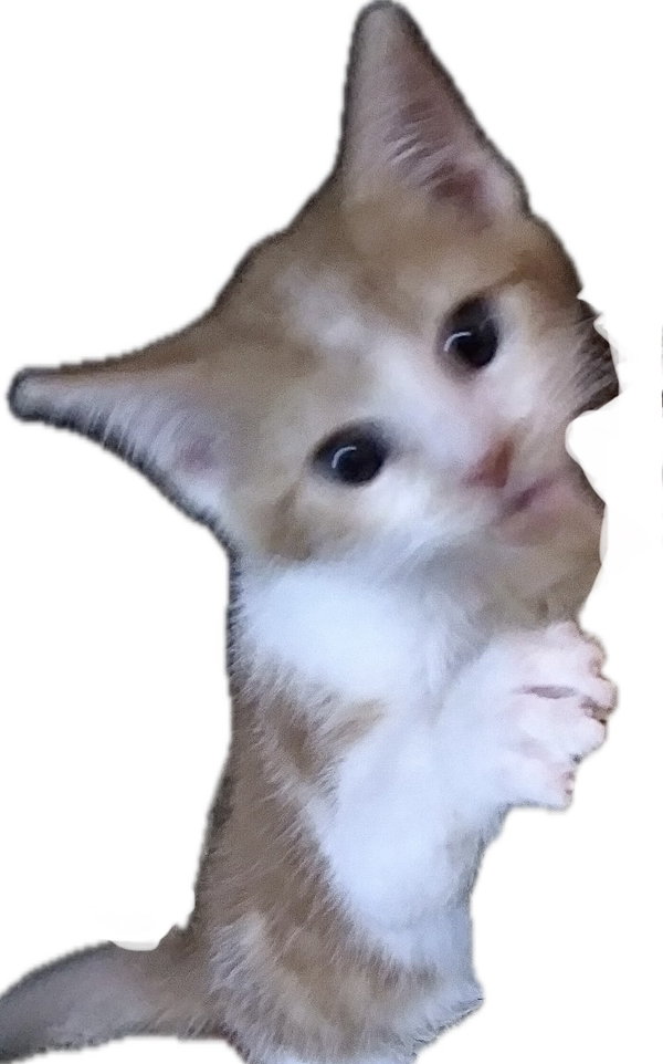 Kevin