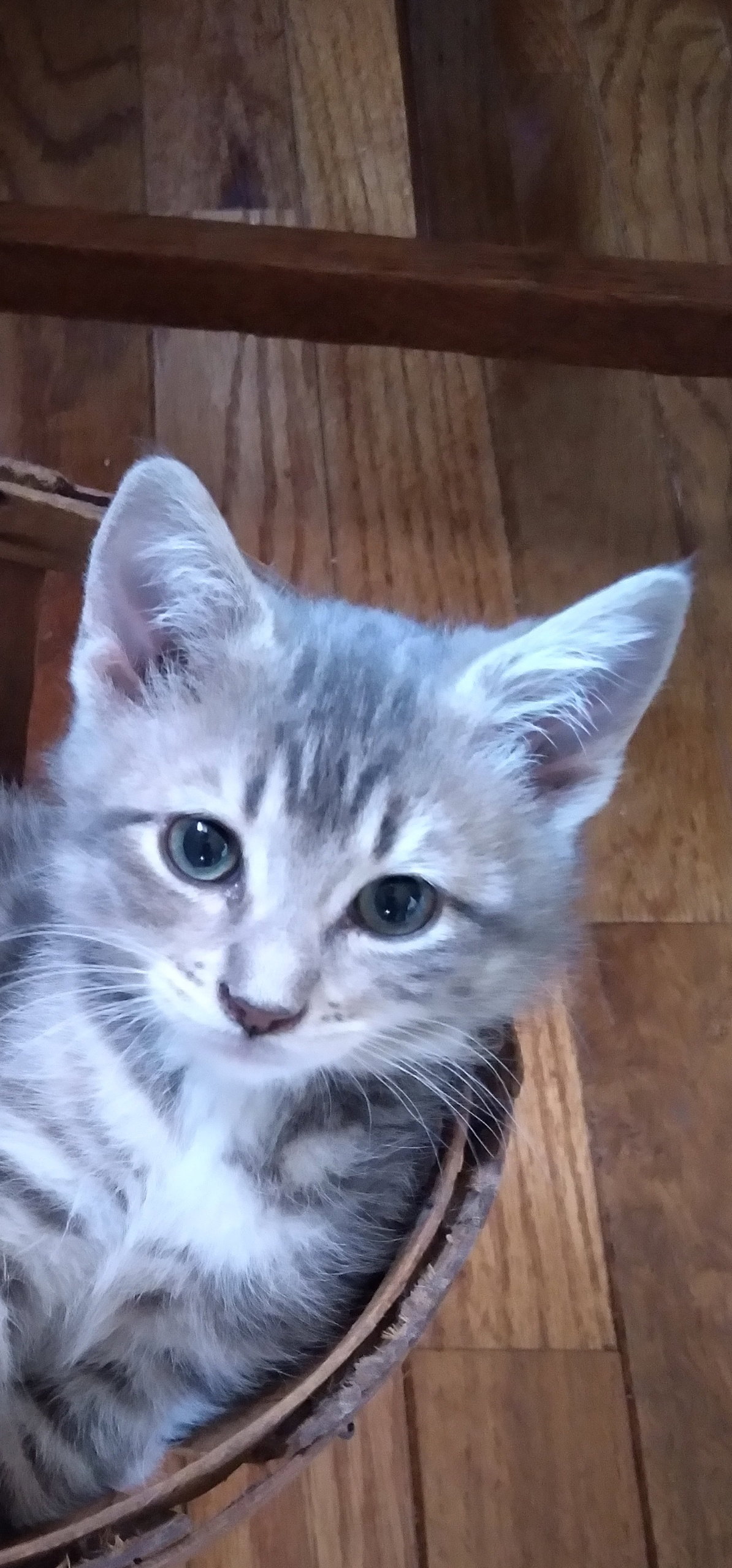 Avery