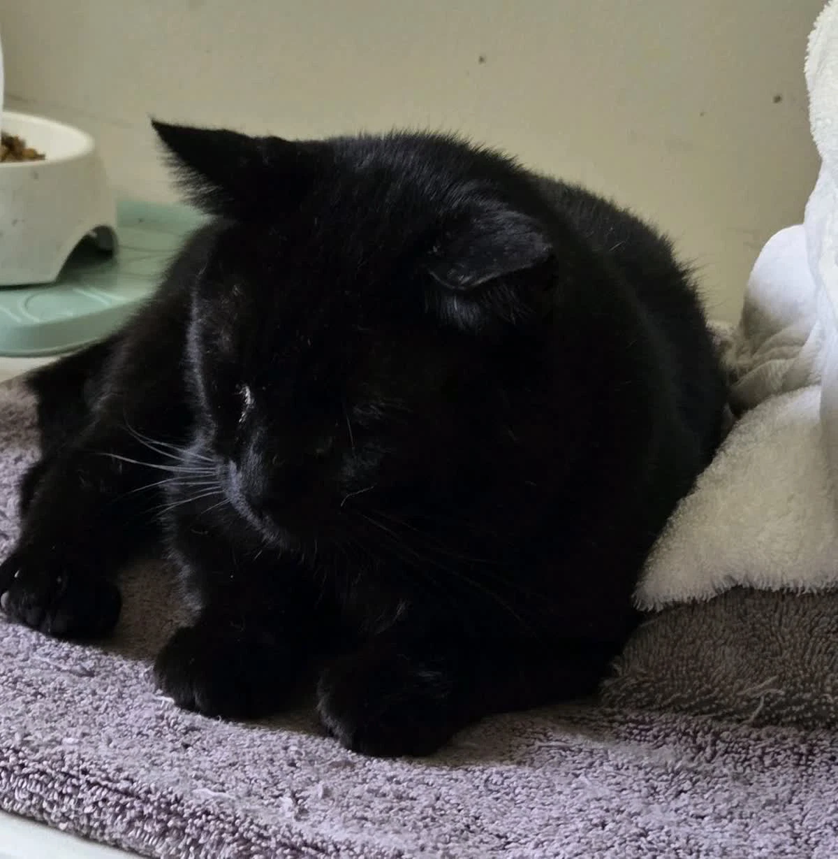 Onyx